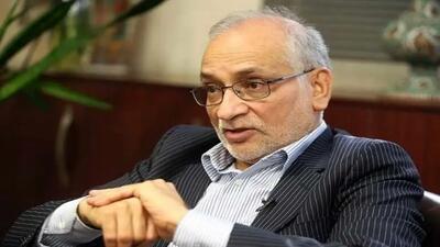 مرعشی: مدنی‌زاده خلأ اقتصاددان در دولت را پر می‌کند