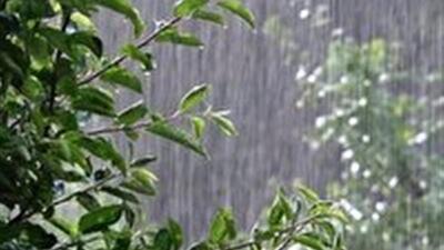 ثبت بارش باران در ۶۰ ایستگاه باران سنجی خراسان جنوبی