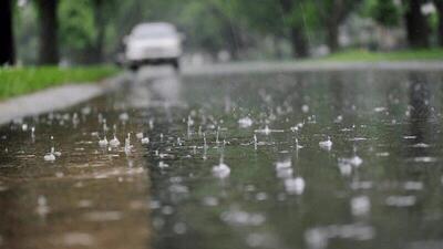 رشد بارندگی‌های خرداد در خراسان جنوبی / دهک نهبندان رکوردار بارش‌ها