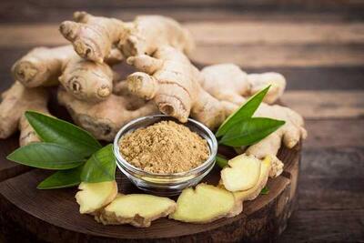 گیاه معجزه‌گر!/ از تقویت مو تا کاهش التهاب، همه چیز در این گیاه نهفته است/ راهنمای جامع استفاده!