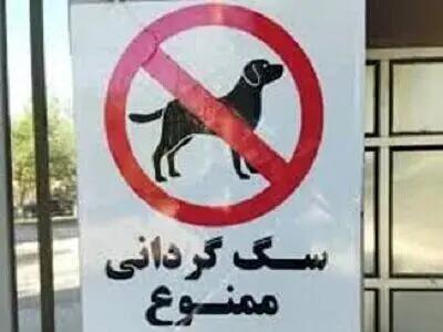 پس از افتتاح ، مهد سگ پلمپ شد