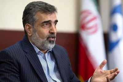 هشدار سخنگوی سازمان انرژی اتمی: در صورت صدور قطعنامه علیه ایران هم در برابر سه کشور اروپایی و هم آژانس مواضعی را اتخاذ خواهیم کرد