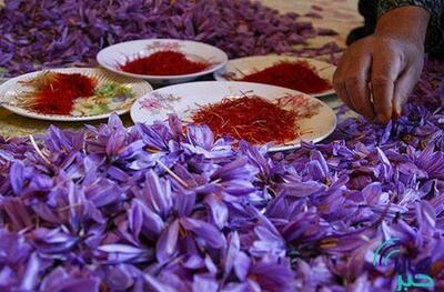 کاهش قیمت زعفران در بورس کالا