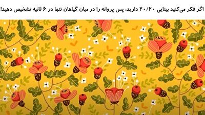 اگر فکر می‌کنید بینایی ۲۰/۲۰ دارید، پس پروانه را در میان گیاهان تنها در 6 ثانیه تشخیص دهید!