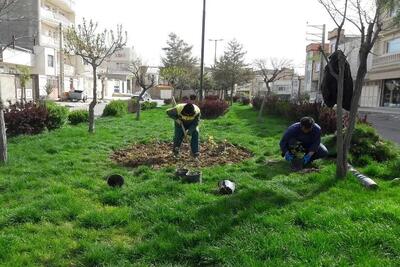 سرانه فضای سبز در اردبیل پایین‌تر از استانداردهای کشوری است