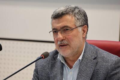 ظفرقندی: ایران در زمینه سلامت غذایی جزو سه کشور اول منطقه است