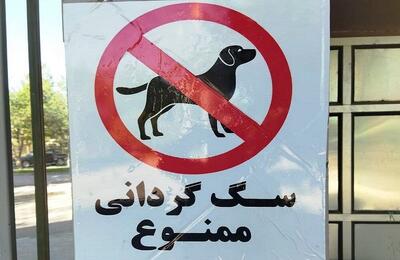 دادستان تربت‌جام: ممنوعیت سگ‌گردانی در اماکن عمومی اطلاع‌رسانی شود