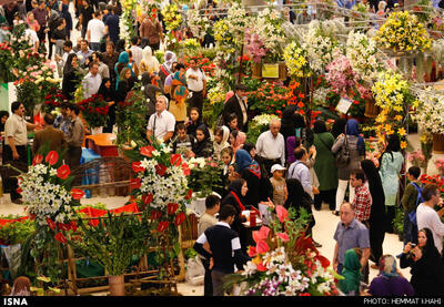 نمایشگاه گل و گیاه محلات ۲۳ خرداد آغاز به کار می‌کند