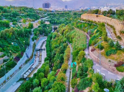 ۷۰ درصد آبیاری درختان پایتخت مکانیزه شده‌اند/ پایان انتقال لوله از تصفیه‌خانه‌ها برای آبیاری از طریق پساب