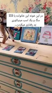زندان روی زمین