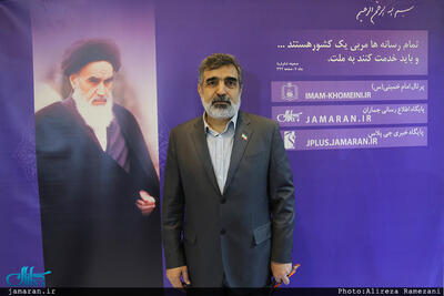 سخنگوی سازمان انرژی اتمی: اگر آژانس قدردان همکاری ما نباشد، همکاری‌ها را به‌سطح عادی می‌رسانیم