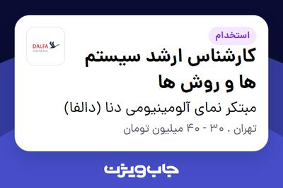 استخدام کارشناس ارشد سیستم ها و روش ها در مبتکر نمای آلومینیومی دنا (دالفا)