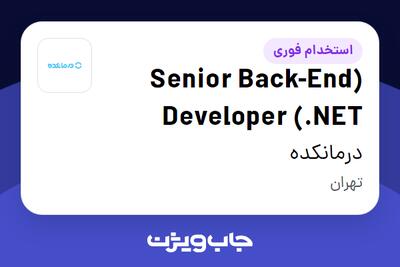 استخدام (Senior Back-End Developer (.NET در درمانکده