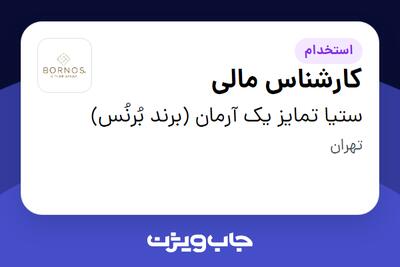 استخدام کارشناس مالی در ستیا تمایز یک آرمان (برند بُرنُس)