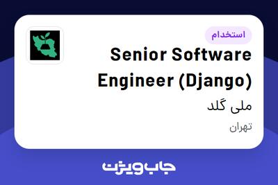 استخدام Senior Software Engineer (Django) در ملی گلد