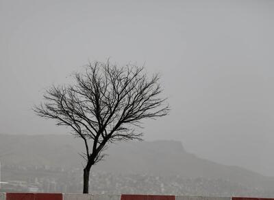 پیش بینی افزایش گرد و غبار و بالای آمدن سطح رودخانه‌های البرز