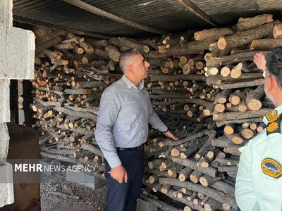 کشف ۱۳ تُن چوب بلوط و بازداشت متخلفان در فلاورجان
