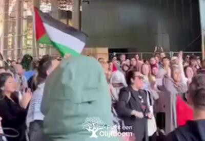 تجمع حمایتی از فلسطین در هلند
