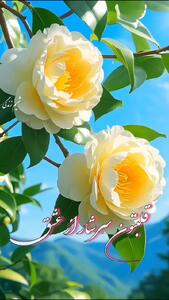جملات سلام صبح بخیر امروز + فیلم