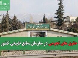 ضرورت شفاف سازی فیش های نجومی برای اقناع  افکار عمومی و جنگلبانان/ لزوم توجه دولت به نیروها در دورافتاده ترین نقاط