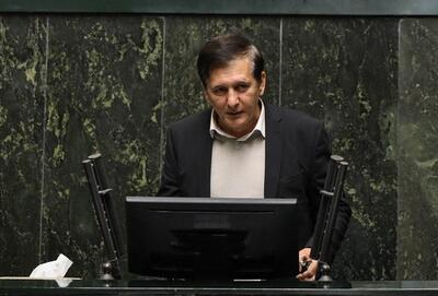 مدنی‌زاده می‌تواند ناجی اقتصاد کشور باشد