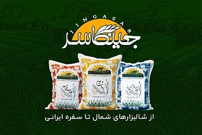 قیمت برنج ایرانی شکسته شد؛ برنج را گران نخرید