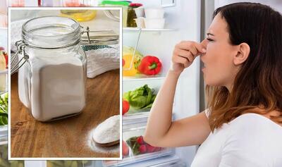 آیا جوش شیرین واقعا بوی بد یخچال را می‌گیرد؟