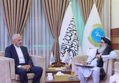 سفر وزیر بهداشت حکومت طالبان به ایران - تسنیم