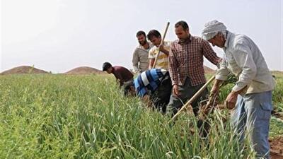 افتتاح ۵۴ طرح اشتغال‌زا در هفته جهاد کشاورزی