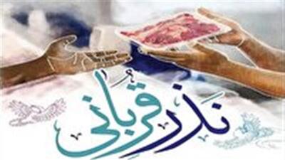 توزیع بیش از ۲ تن گوشت قربانی بین نیازمندان