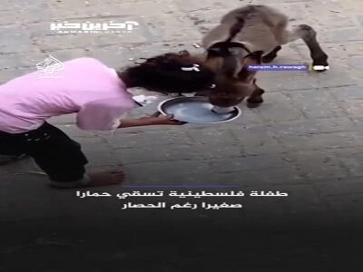 انسانیت در دل جنگ، قحطی و ویرانی غزه