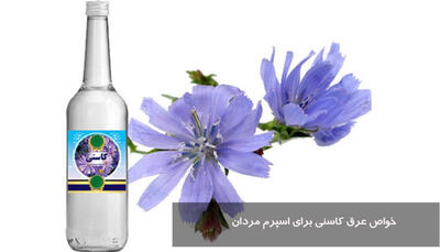 خواص عرق کاسنی برای اسپرم مردان + طریقه مصرف عرق کاسنی برای تقویت اسپرم