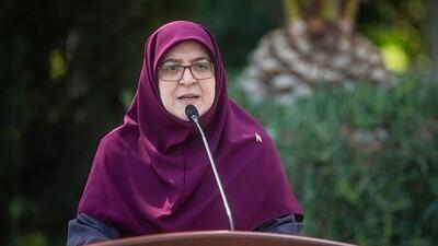 حجم اسنادی که از اسرائیل به دست آورده‌ایم، بسیار بالاست / پاسخ سخنگوی دولت به احتمال ساختن سلاح هسته‌ای توسط ایران