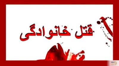 پسر جوان مادربزرگ را بخاطر سرقت ماشین کشت