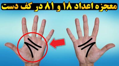معنای اعداد ۱۸ و ۸۱ در کف دست! واقعیتی که کمتر کسی میداند