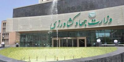 کلاه گشاد ۲ میلیارد دلاری مافیای واردکنندگان بر سر «وزیر جهادکشاورزی»/ ورود نهادهای نظارتی به توقف ورود تهاتر نفتی با کالای اساسی - سایت خبری اقتصاد پویا