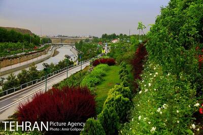 ۲۲ پرچم محیط‌زیستی در پایتخت بالا رفت