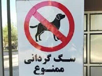 ممنوعیت سگ گردانی به یک شهر دیگر رسید