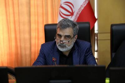 واکنش کمالوندی به صدور احتمالی قطعنامه ضدایرانی شورای حکام/  اقدام در برابر اقدام، همکاری در مقابل همکاری