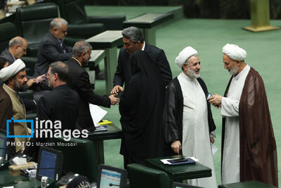 درخواست ۲۱۰ نماینده از رئیس‌جمهور برای استمحال و بخشش سود وام‌های کشاورزی و دامپروری