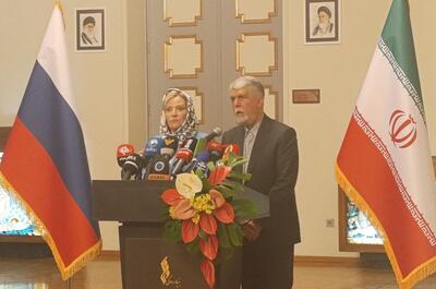 صالحی: هفته فرهنگی روسیه در ایران فرصتی مغتنم برای تعمیق روابط است