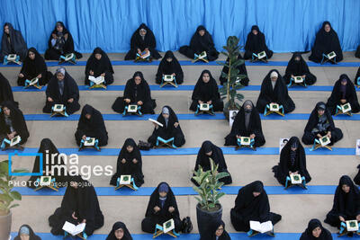 تمام نهادهای رسمی بخش قرآنی دارند