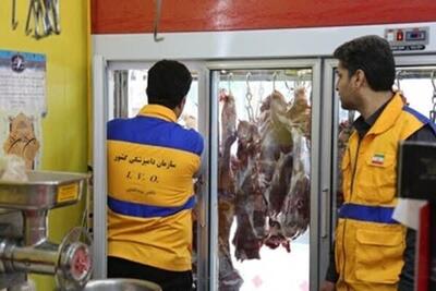 معاون استاندار بوشهر: نگاه تخصص‌محور به دامپزشکی ضرورتی اجتناب‌ناپذیر است