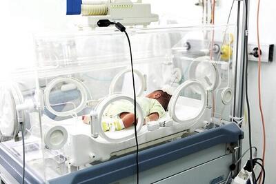 آینده جمعیتی قم زیر سایه قانون جوانی جمعیت