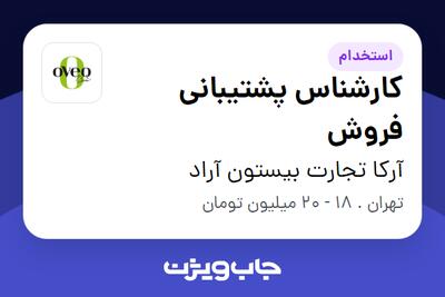 استخدام کارشناس پشتیبانی فروش - خانم در آرکا تجارت بیستون آراد