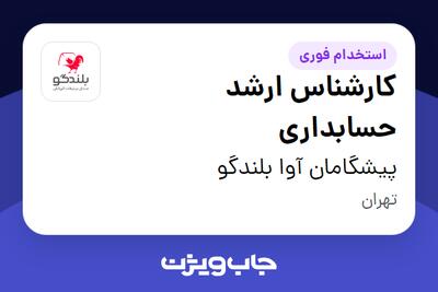 استخدام کارشناس ارشد حسابداری در پیشگامان آوا بلندگو