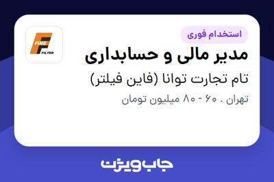 استخدام مدیر مالی و حسابداری - آقا در تام تجارت توانا (فاین فیلتر)