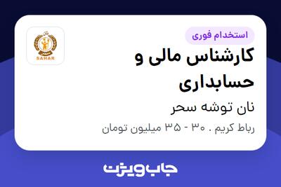 استخدام کارشناس مالی و حسابداری در نان توشه سحر