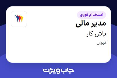 استخدام مدیر مالی در پاش کار