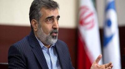 کمالوندی: واکنش فوری و متناسب به هرگونه اقدام غیرسازنده آژانس نشان می‌دهیم - مردم سالاری آنلاین